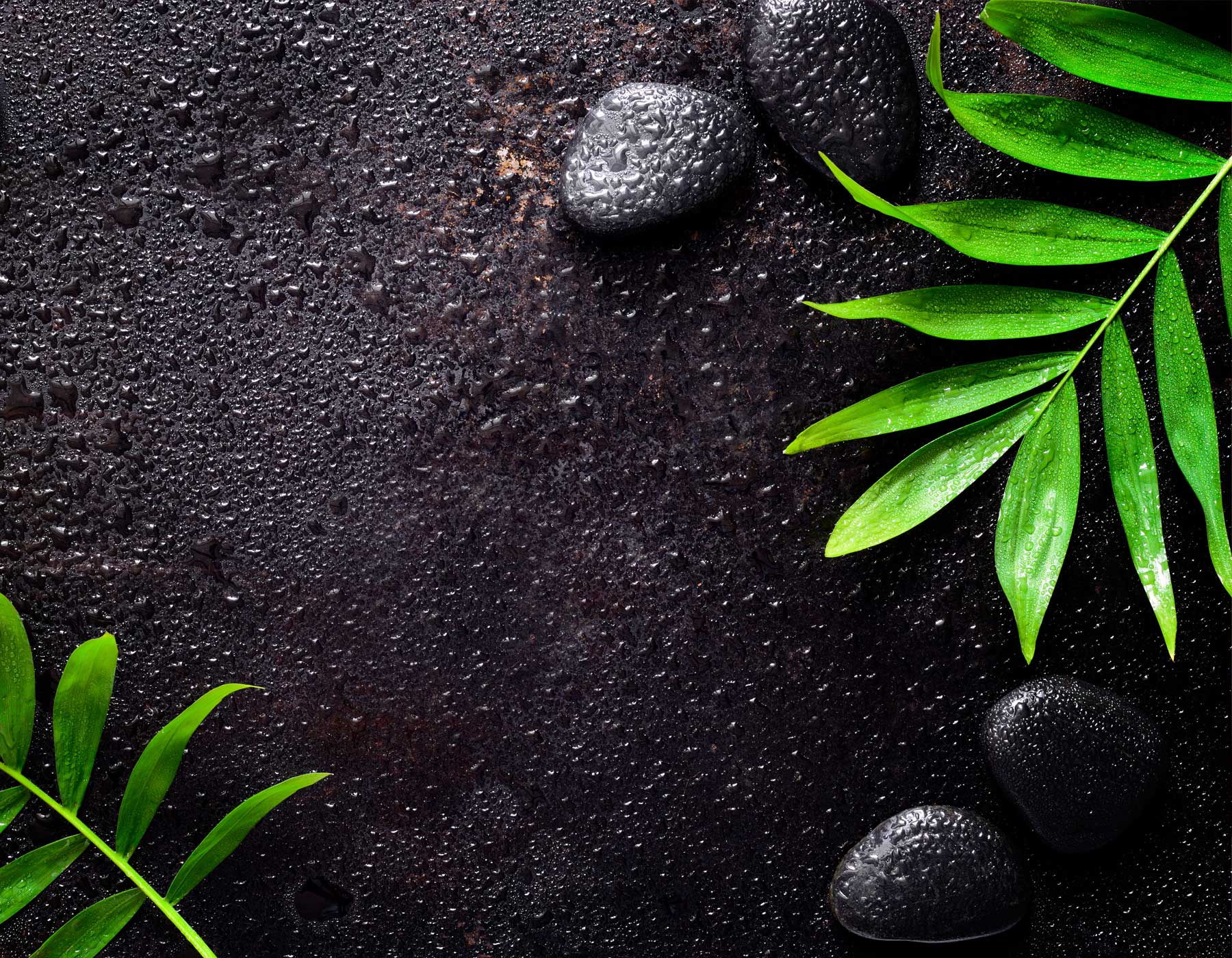 Wellness & SPA